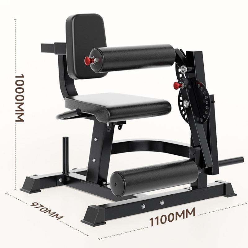 Adjustable 6 Position Workout  - Home Gym Leg Extension Machine review and price