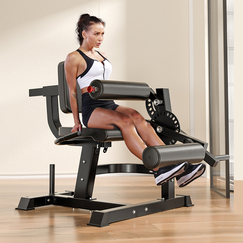 Adjustable 6 Position Workout  - Home Gym Leg Extension Machine review and price