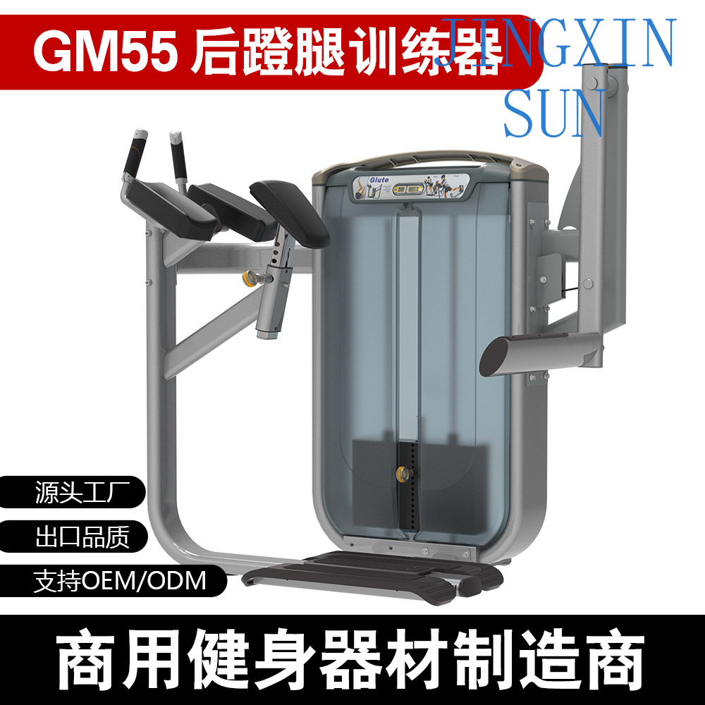 Commercial Standing Back Push  - Home Gym Leg Extension Machine review and price