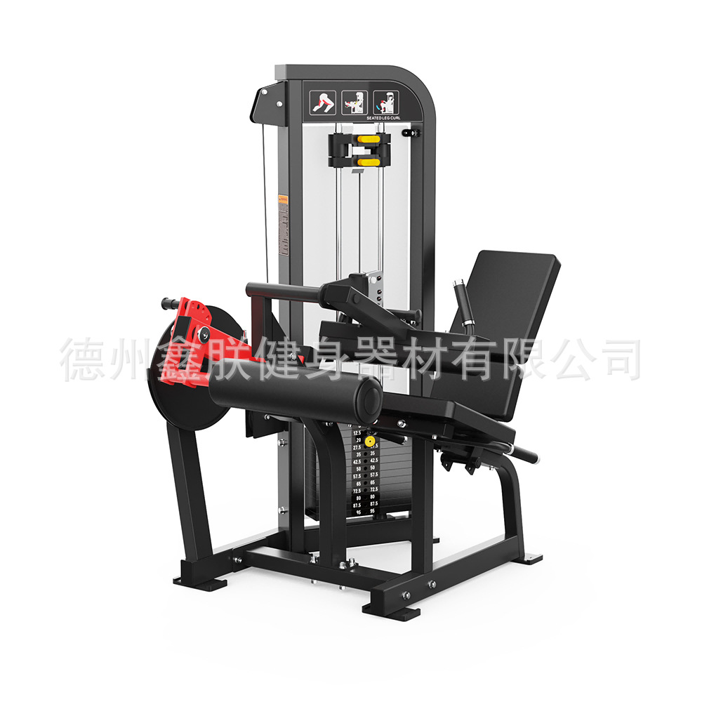 Gym Hammer Strength Equipment  - Home Gym Leg Extension Machine review and price