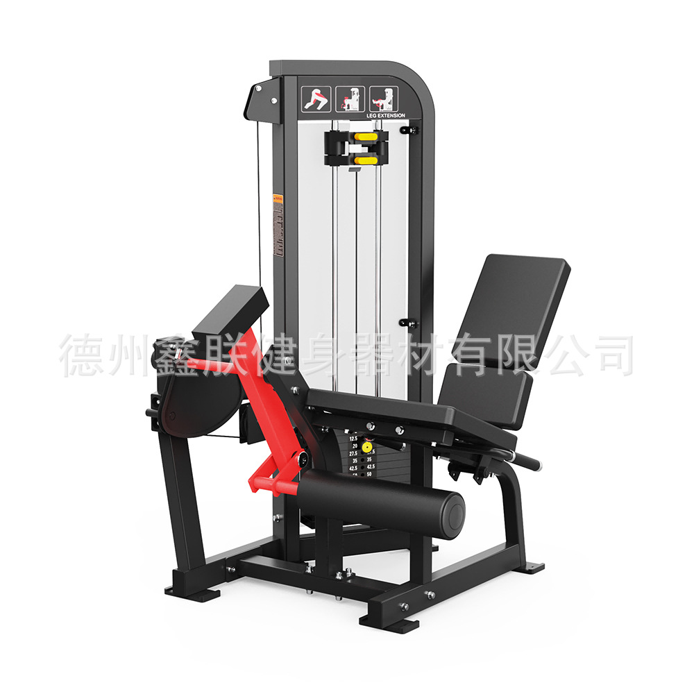Gym Hammer Strength Equipment  - Home Gym Leg Extension Machine review and price