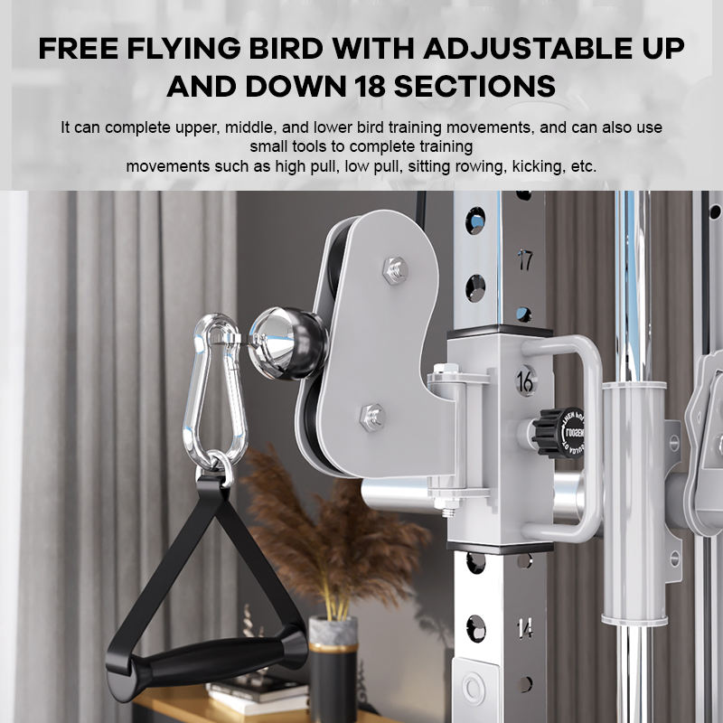 YTYIN Factory Supplier Home Gy - Home Gym With Smith Machine review and price