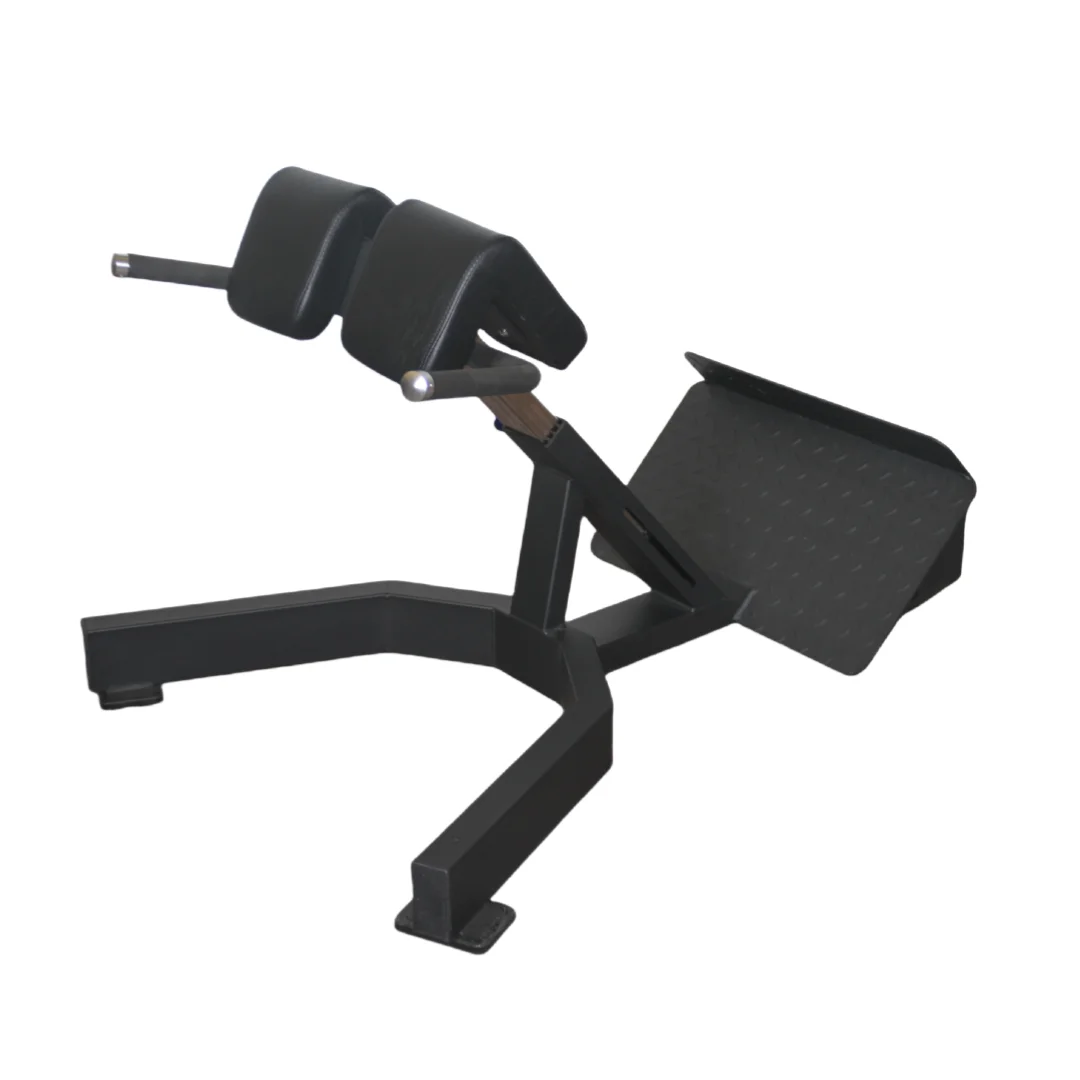 Factory Price Roman Chair Back - Home Gym Leg Extension Machine review and price