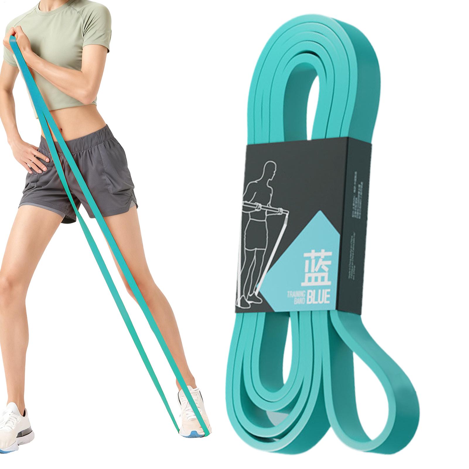Workout Resistance Bands Elast - Home Gym Leg Press review and price